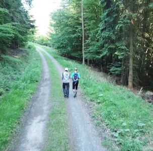 Natur am Möhnesee