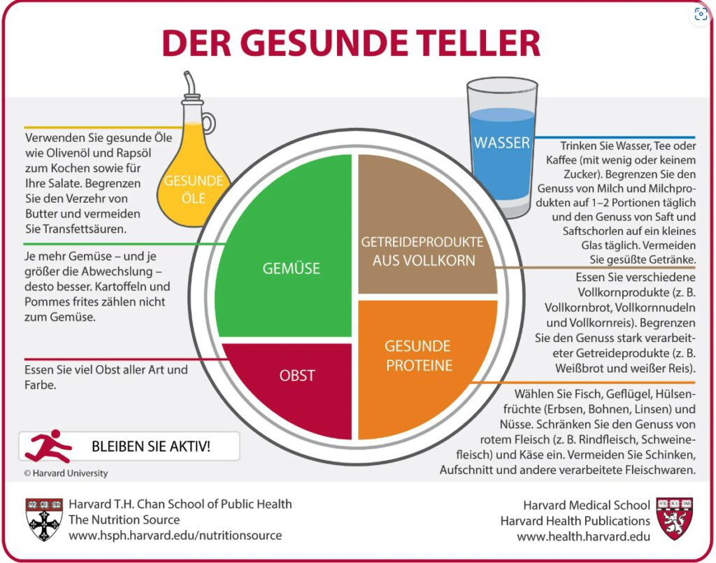 Der Gesunde Teller als Beispiel für die Zusammenhänge zwischen Lebergesundheit und Haut – ausgewogene Ernährung unterstützt beide.“