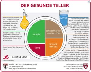 Der Gesunde Teller als Beispiel für die Zusammenhänge zwischen Lebergesundheit und Haut – ausgewogene Ernährung unterstützt beide.“